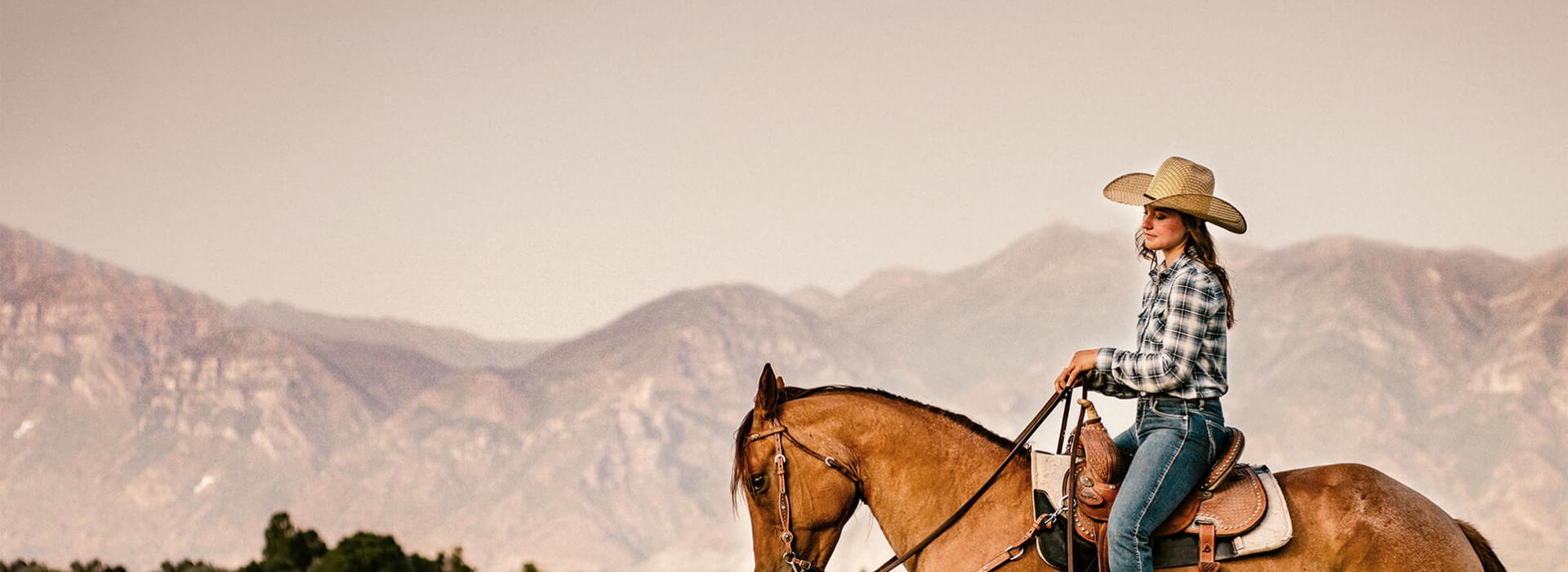 Horseback Riding In Snowmass Colorado 